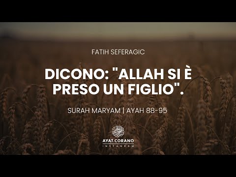 Bellissima recitazione del Sacro Corano | “Dicono: Allah si è preso un figlio”. | Surah Maryam