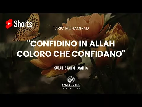 Bellissima recitazione del Corano | Confida in Allah | Surah Ibrahim | Tariq Mohammed
