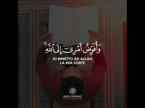 Bellissima recitazione del Corano #shorts #quran