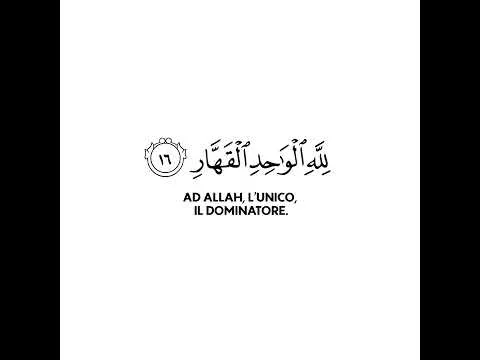 La Sovranità appartiene ad Allah | Bellissima recitazione del Corano | Surah Ghafir