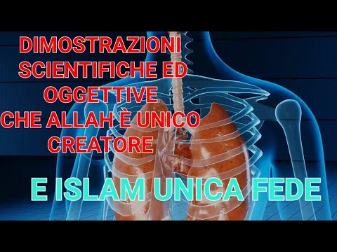 Prove scientifiche ed oggettive che Allah è il Creatore dell’ universo