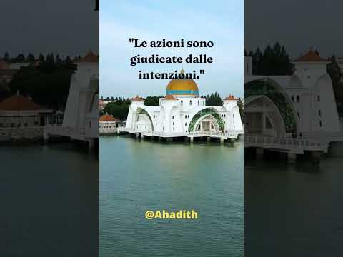 “Ahadith: Guida e Ispirazione dai Detti del Profeta Muhammad (PBUH)”