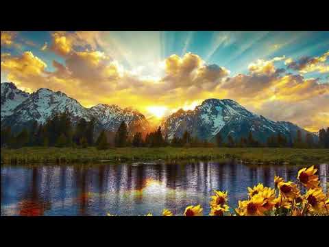 Corano Roqya contro stregoneria malocchio gelosia Quran Powerfull Ruqyah djin Sheikh Suood Al Fayez
